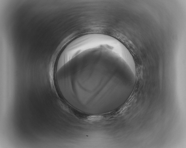 X0000101450051200807280947