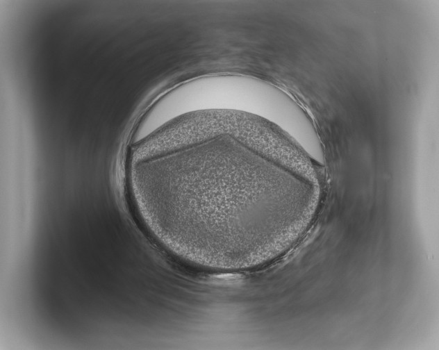 X0000101450053200807280947