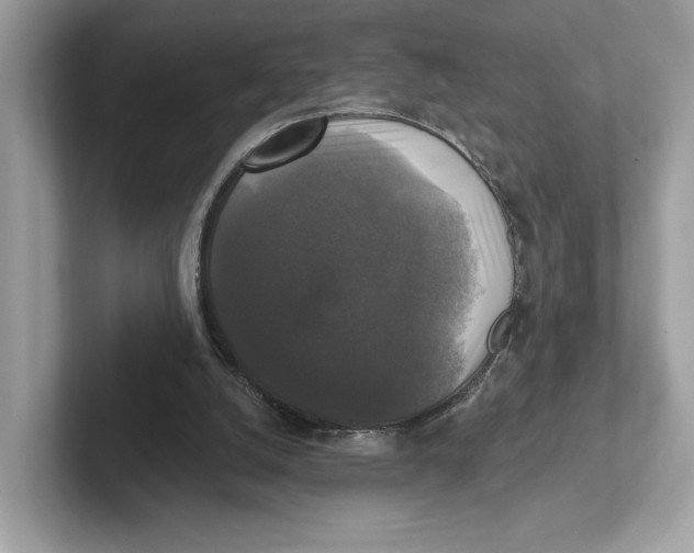 X0000101450056200807280947