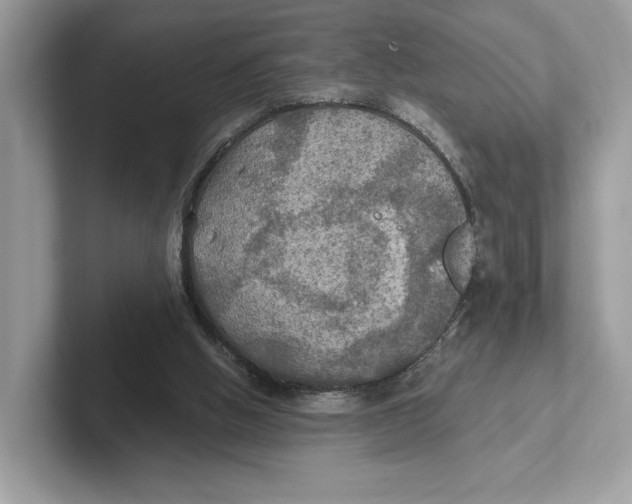 X0000101450058200807280947