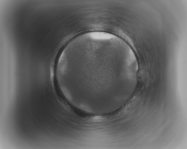 X0000101450059200807280947