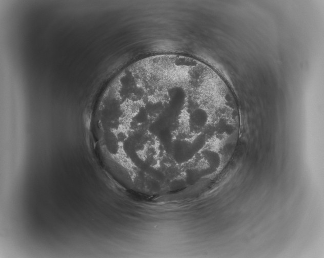 X0000101450061200807280947