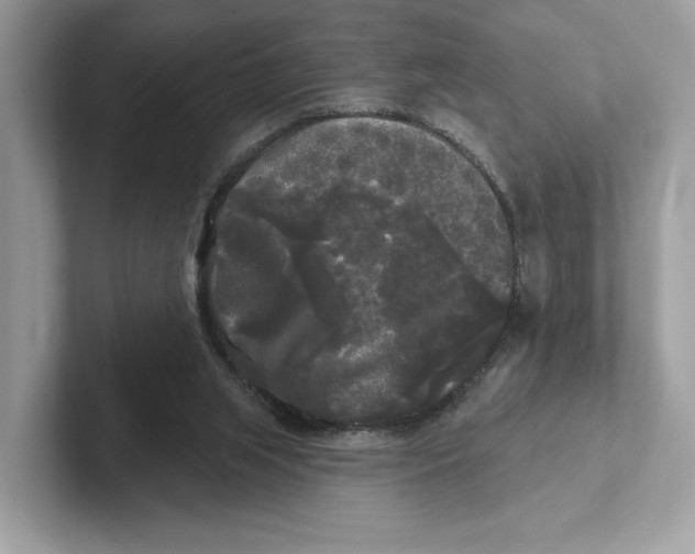 X0000101450063200807280947