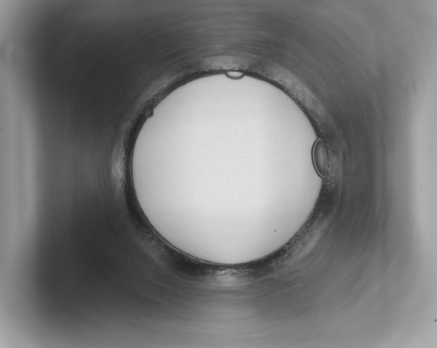 X0000101450064200807280947