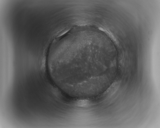 X0000101450066200807280947