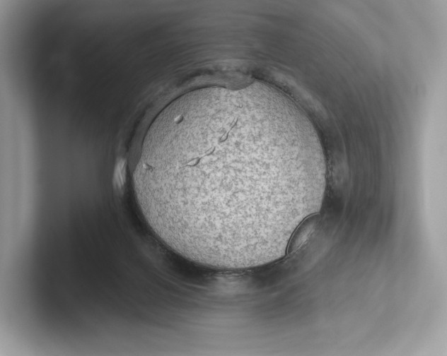 X0000101450070200807280948