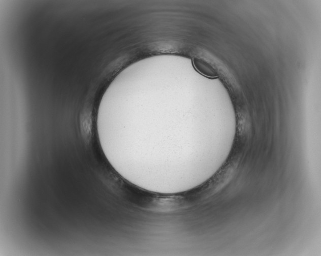 X0000101450072200807280948