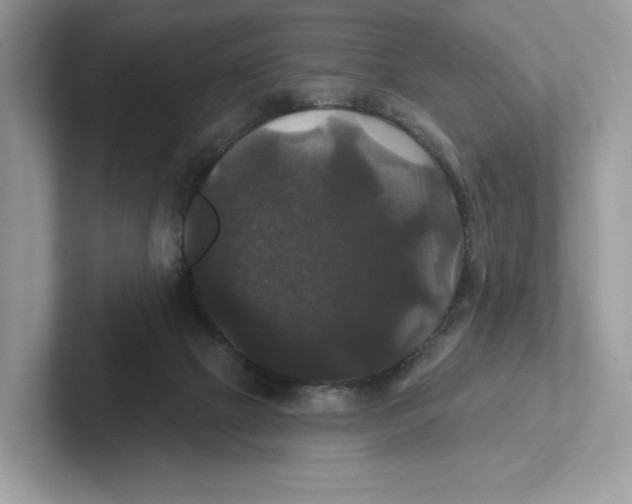 X0000101450073200807280948