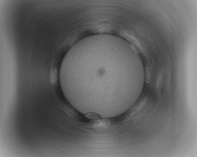 X0000101450077200807280948