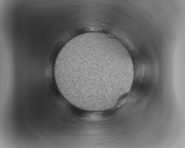 X0000101450078200807280948