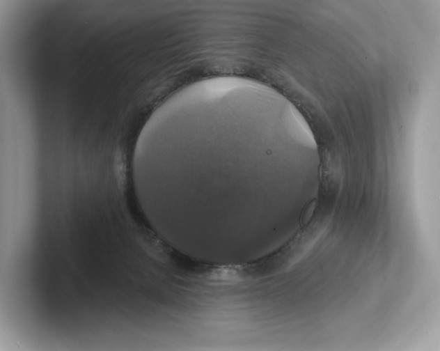 X0000101450080200807280948