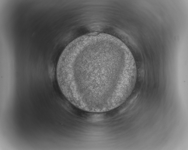 X0000101450081200807280948