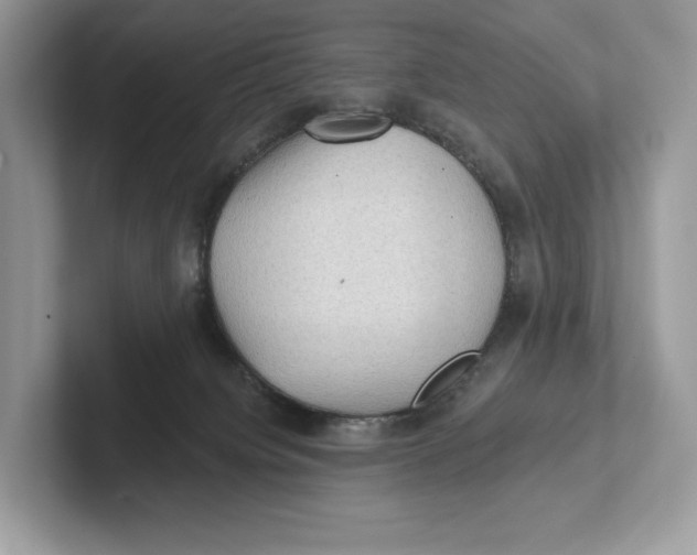 X0000101450084200807280948