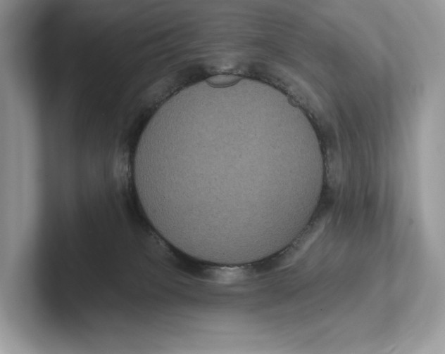 X0000101450085200807280948