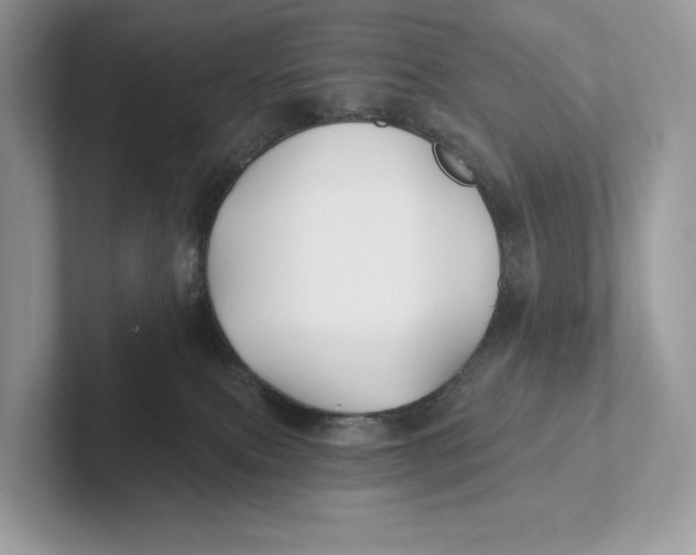 X0000101450087200807280948