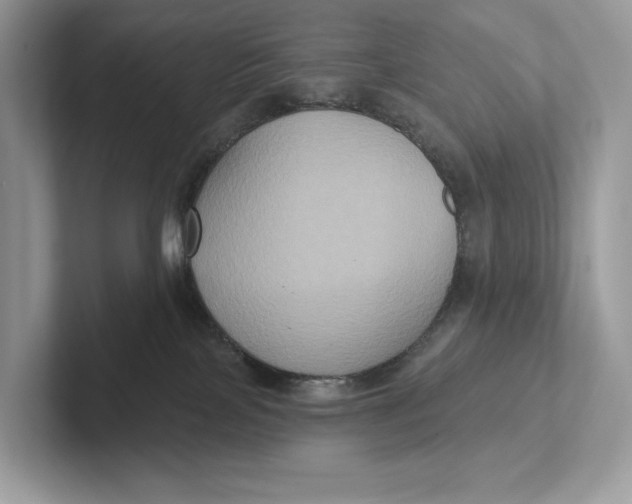 X0000101450089200807280948