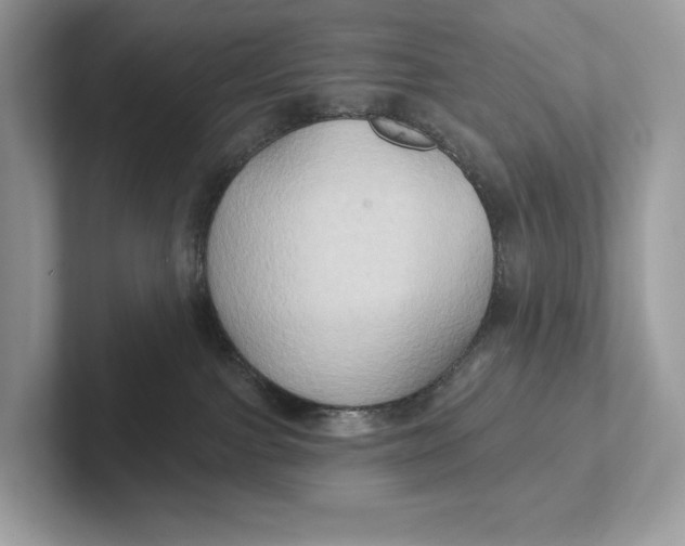 X0000101450091200807280948