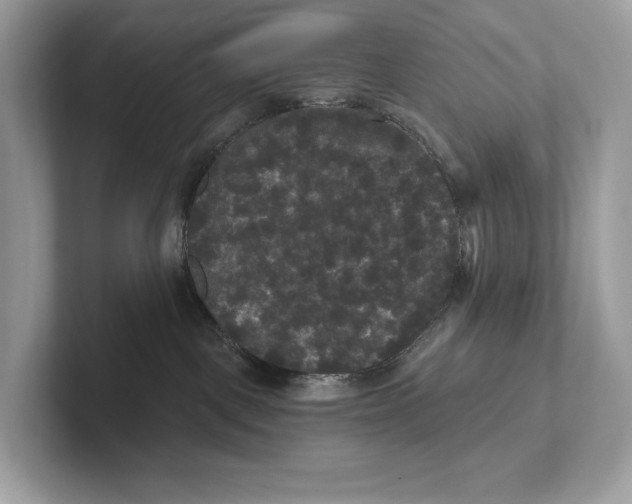 X0000101450093200807280948