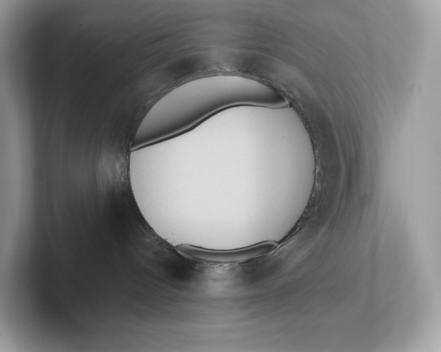 X0000101450096200807280948