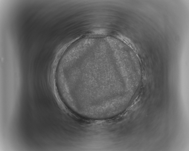 X0000101450097200807280947