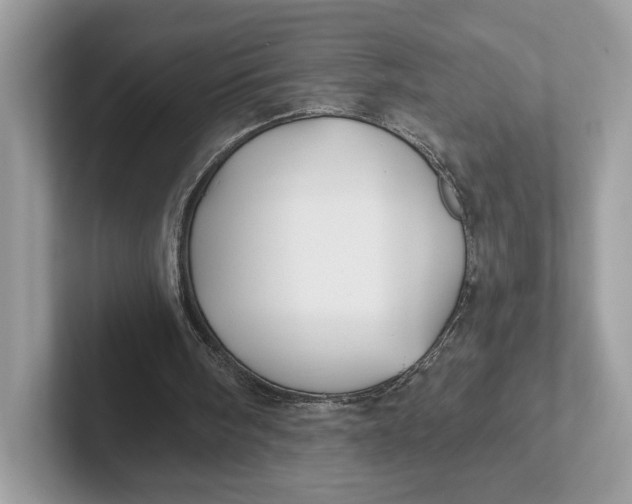 X0000101450098200807280947