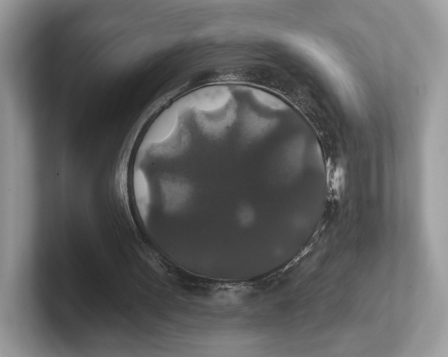 X0000101450099200807280947