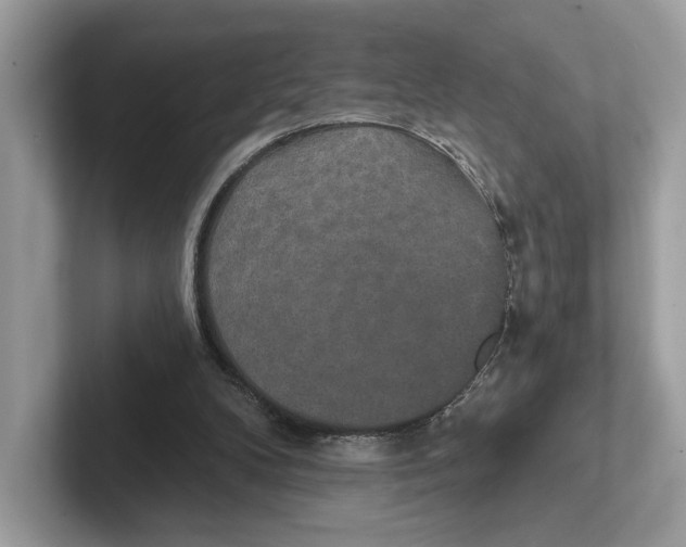 X0000101450104200807280947