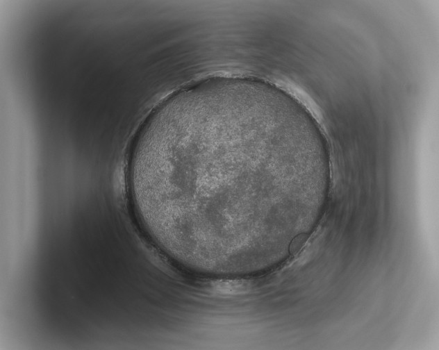 X0000101450105200807280947