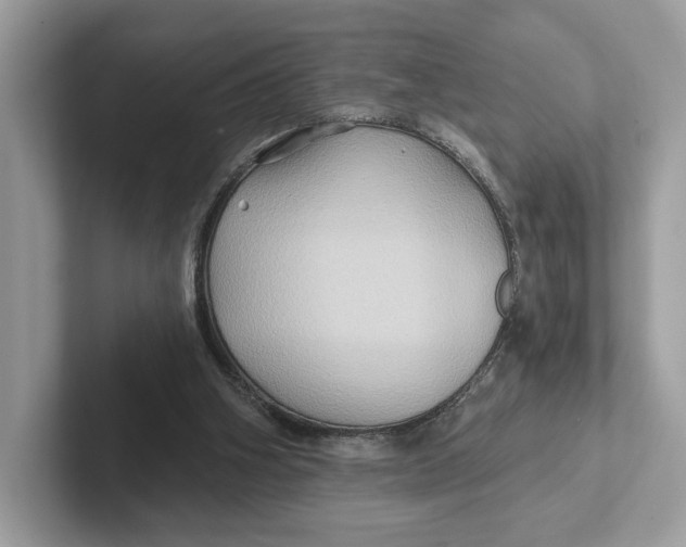 X0000101450106200807280947