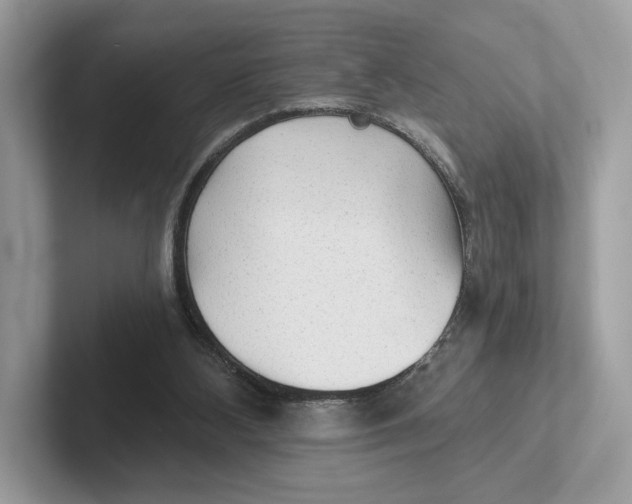 X0000101450108200807280947