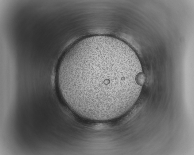 X0000101450111200807280947