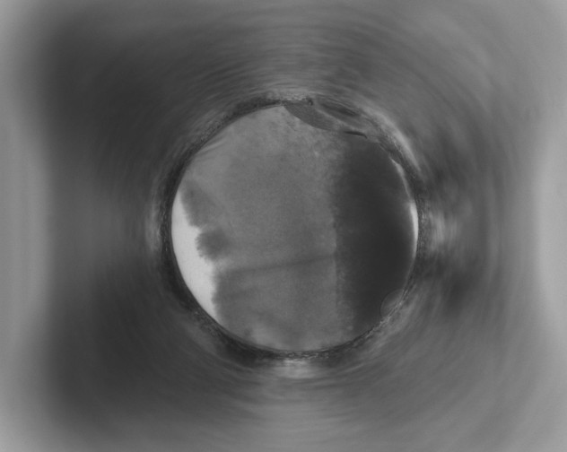 X0000101450114200807280947