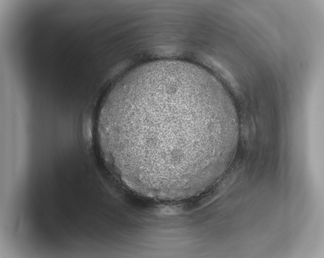 X0000101450115200807280947