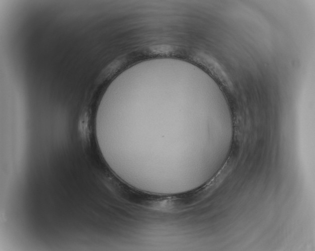 X0000101450116200807280947