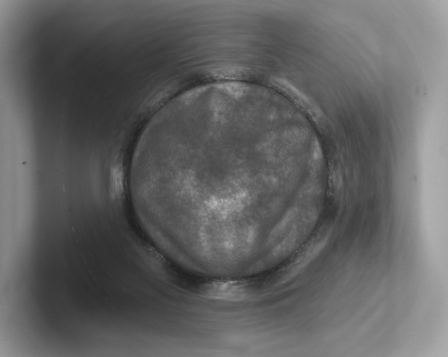 X0000101450117200807280947