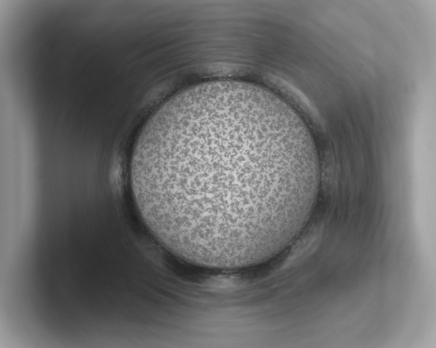 X0000101450119200807280947