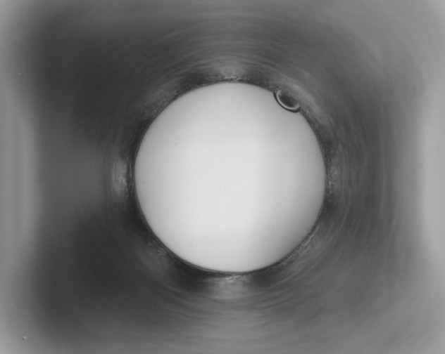 X0000101450122200807280947