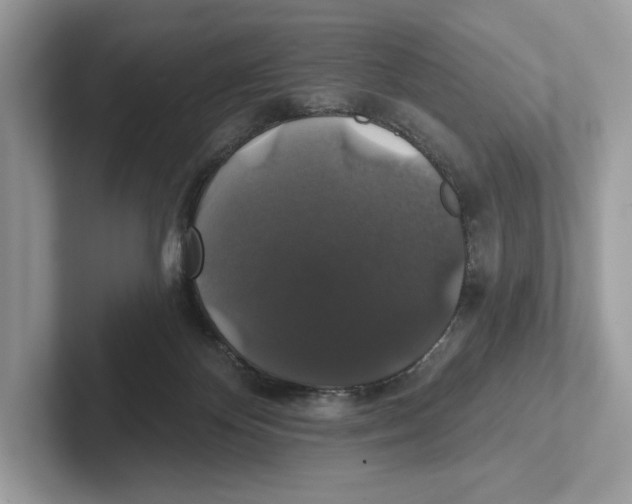 X0000101450124200807280947