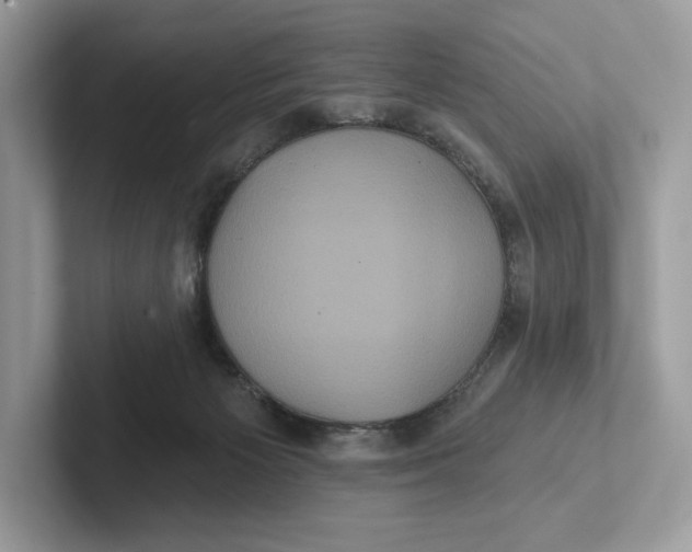 X0000101450125200807280947