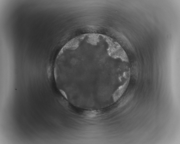 X0000101450131200807280947