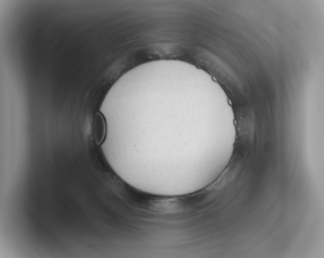 X0000101450132200807280947