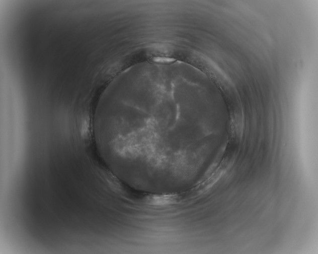 X0000101450134200807280947