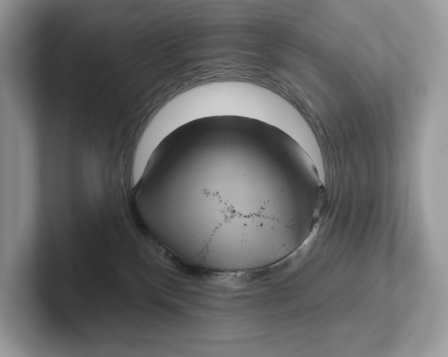 X0000101450136200807280947