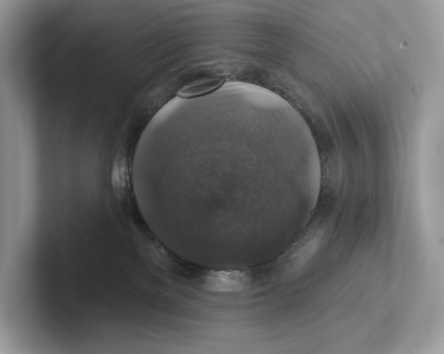 X0000101450137200807280947