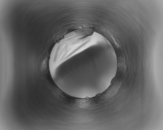 X0000101450139200807280947