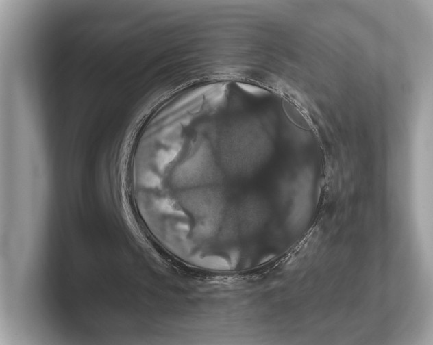 X0000101450145200807280946