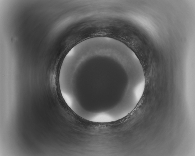 X0000101450146200807280946