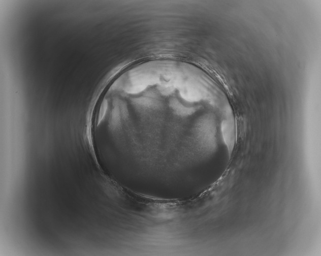 X0000101450147200807280946