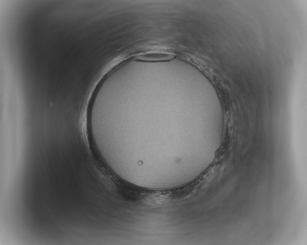 X0000101450148200807280946