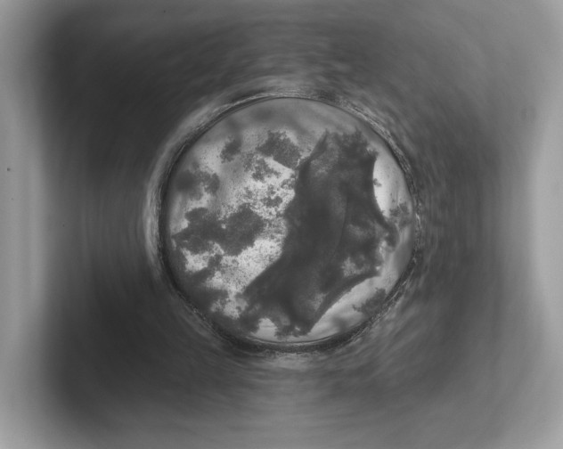 X0000101450149200807280946